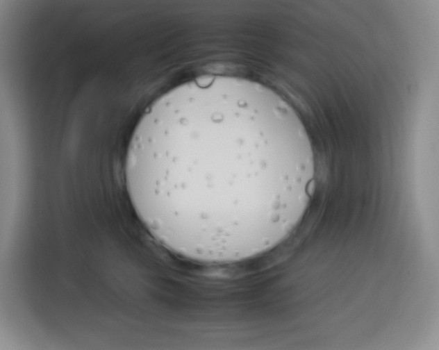 X0000113750569200910071108