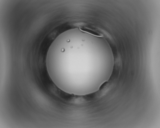 X0000113750572200910071108