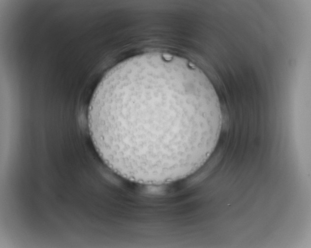 X0000113750573200910071108