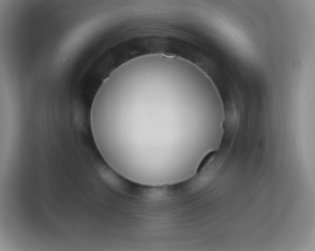 X0000113750574200910071108