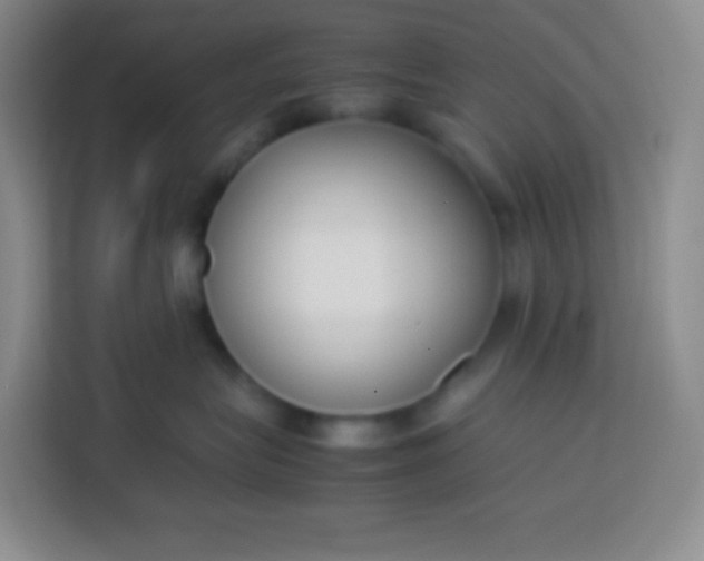 X0000113750575200910071108