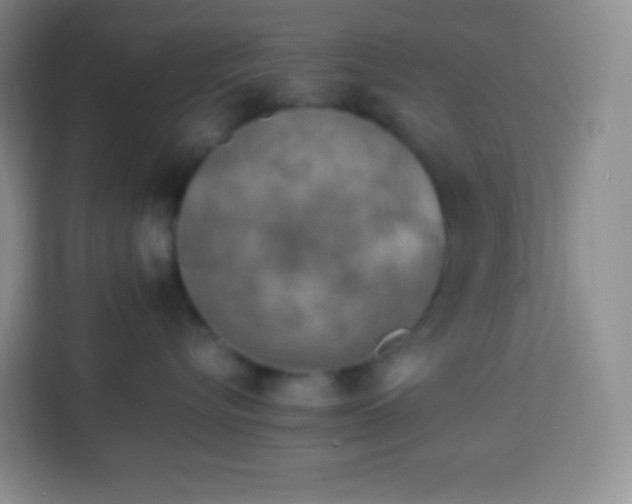 X0000113750576200910071108