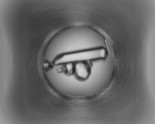 X0000113750577200910071108