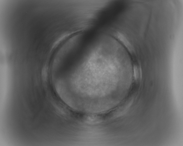 X0000113750579200910071108