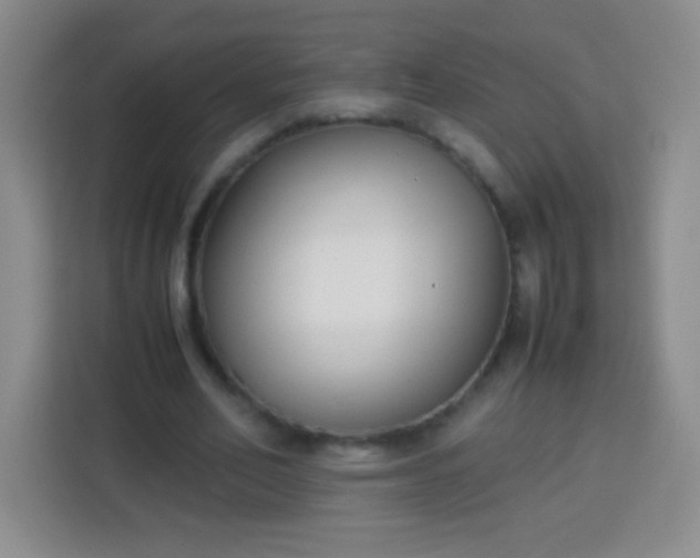 X0000113750582200910071108