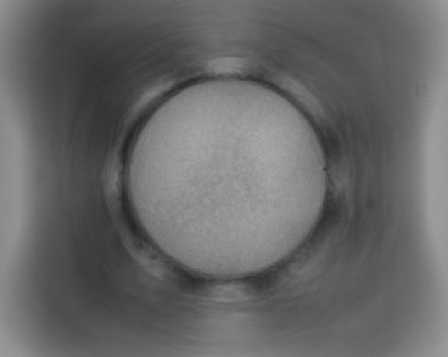 X0000113750583200910071108