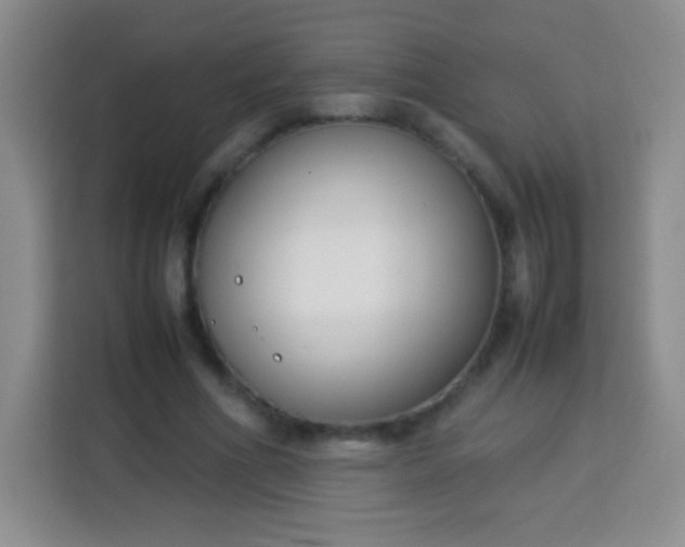 X0000113750586200910071108