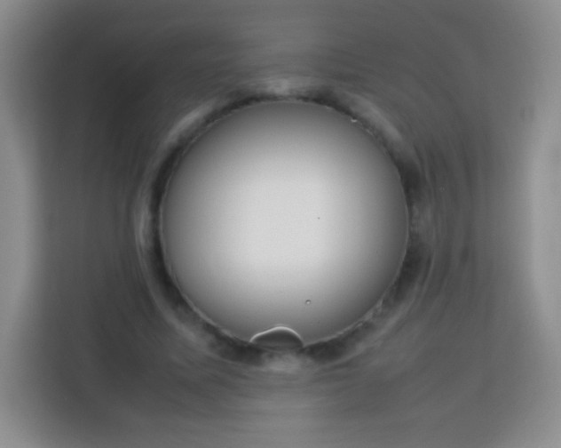 X0000113750587200910071108