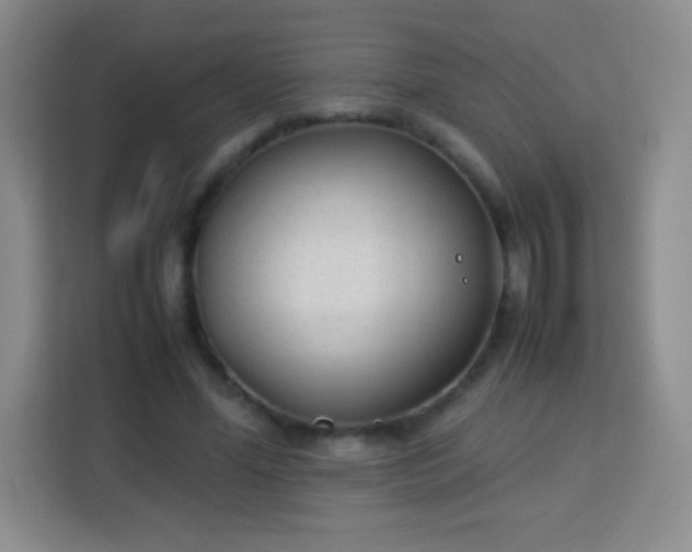 X0000113750588200910071108