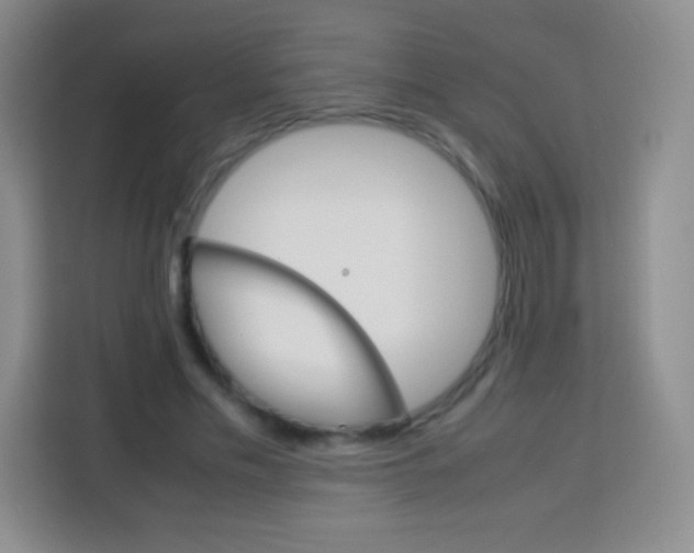 X0000113750589200910071108