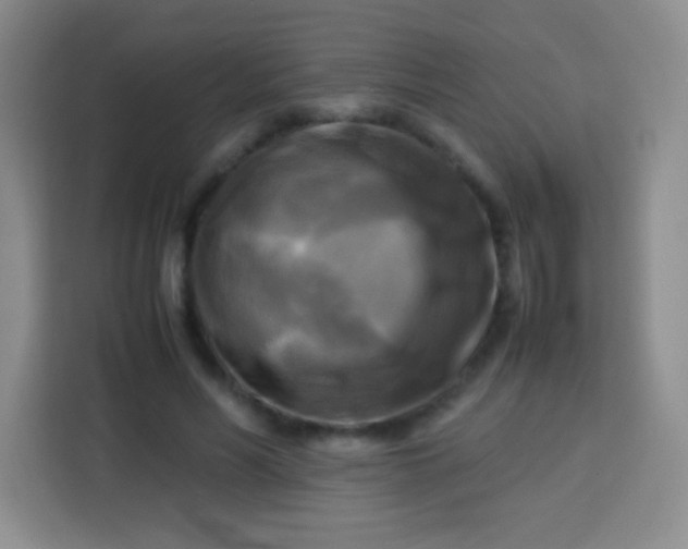 X0000113750590200910071108