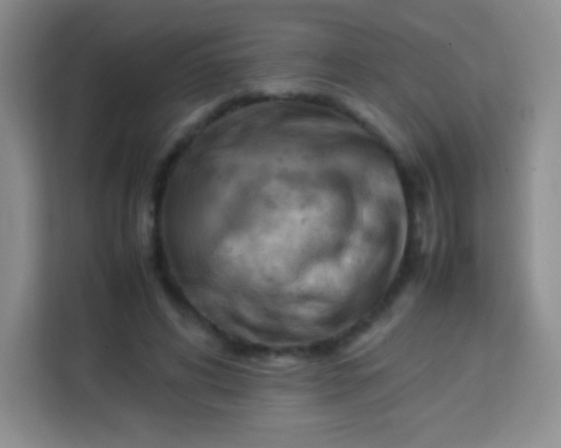 X0000113750592200910071108