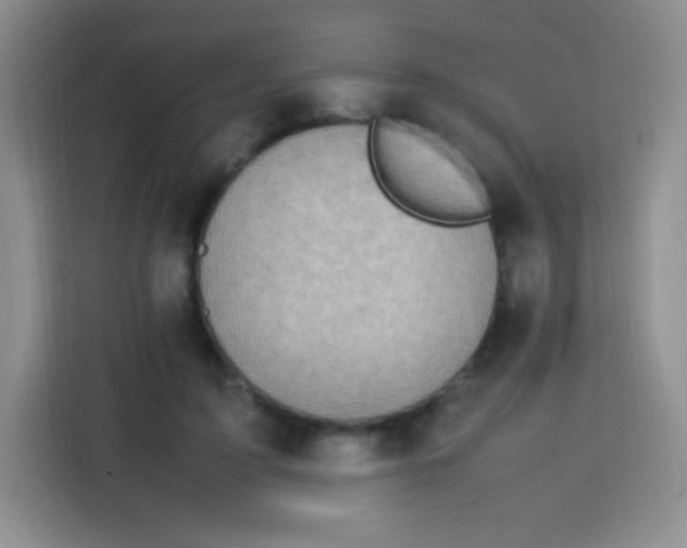 X0000113750595200910071107