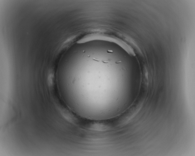 X0000113750596200910071107