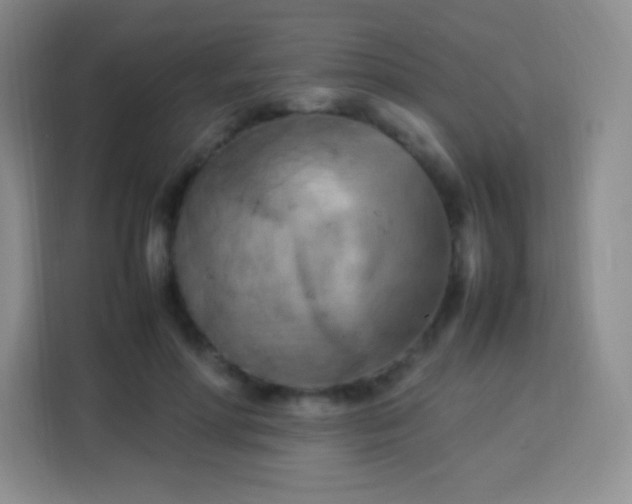 X0000113750598200910071107