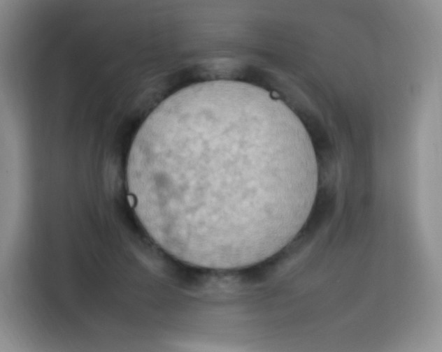 X0000113750599200910071107