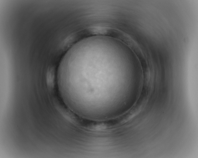 X0000113750600200910071107