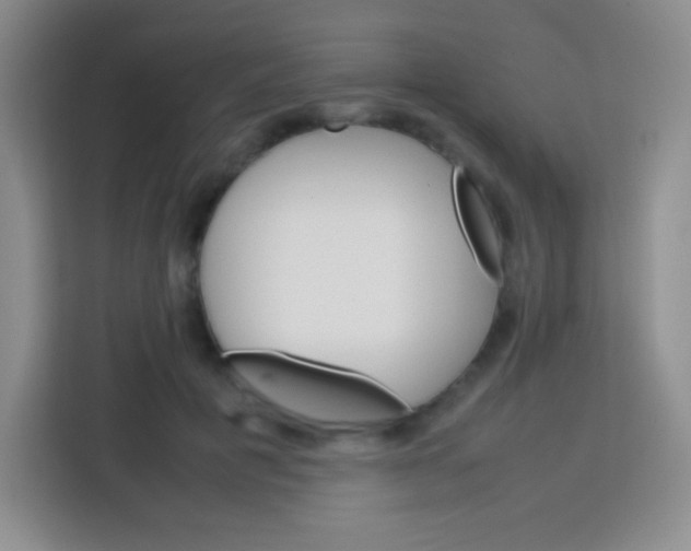 X0000113750601200910071107