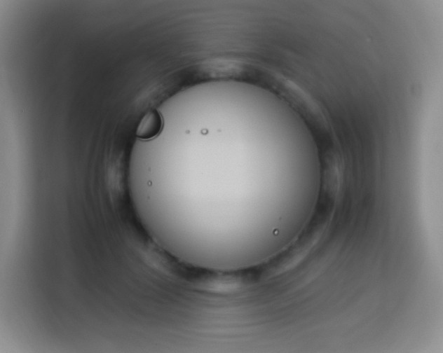 X0000113750604200910071107