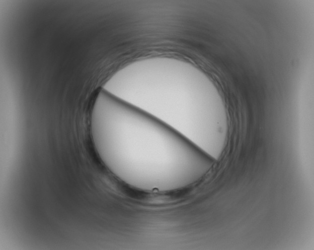 X0000113750605200910071107