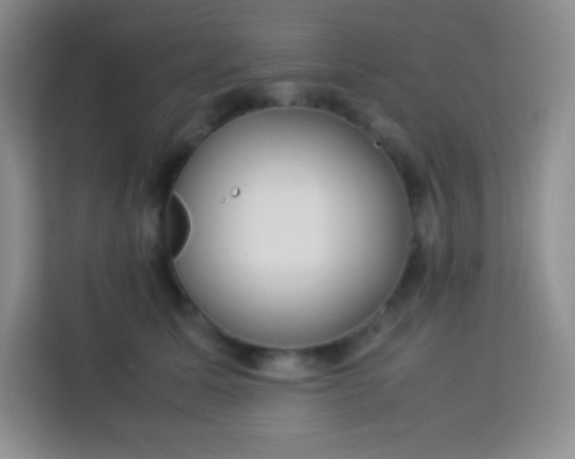 X0000113750611200910071107