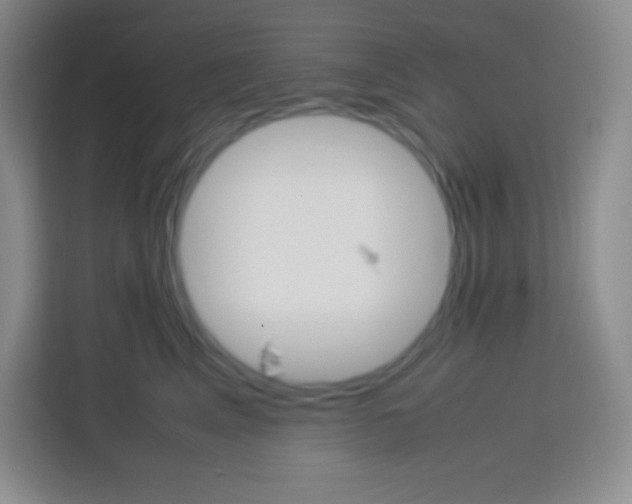 X0000113750617200910071107