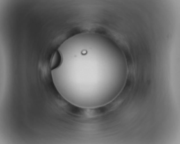 X0000113750623200910071107