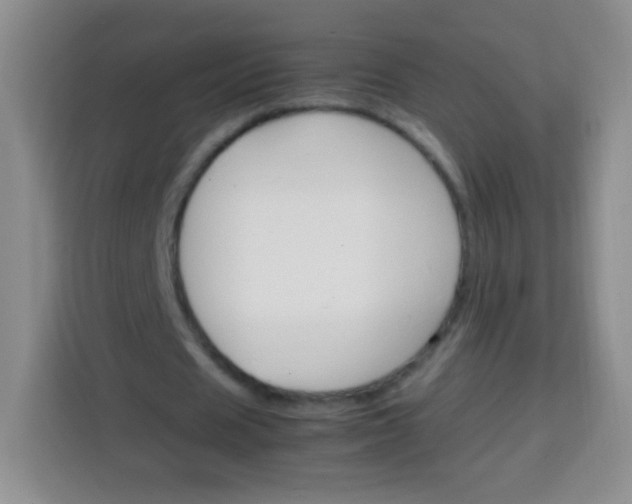 X0000113750625200910071106