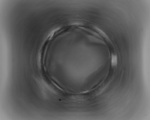 X0000113750627200910071107