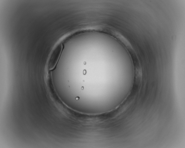 X0000113750628200910071107