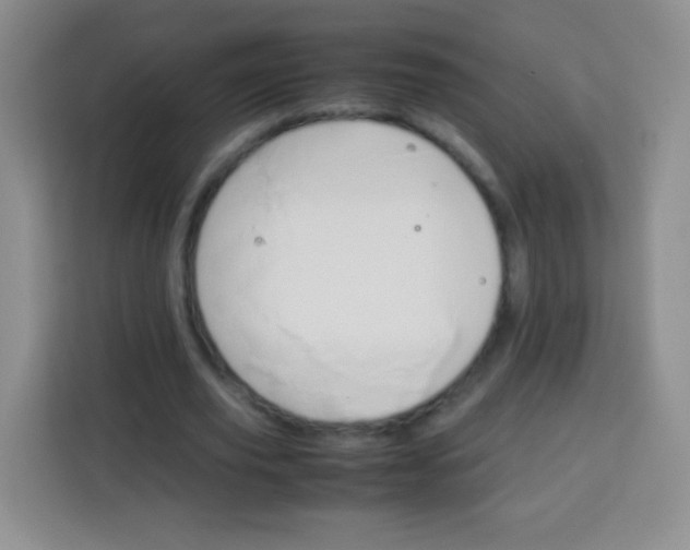 X0000113750629200910071107