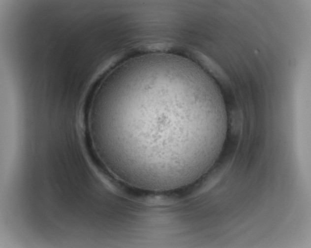 X0000113750634200910071107