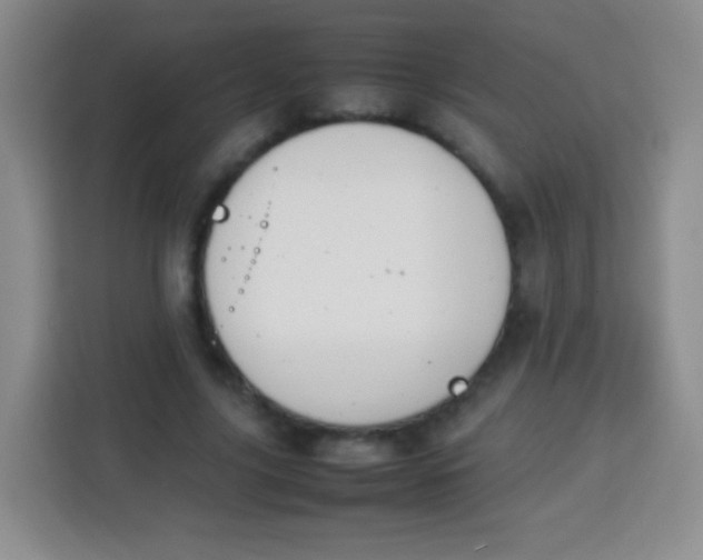 X0000113750635200910071107