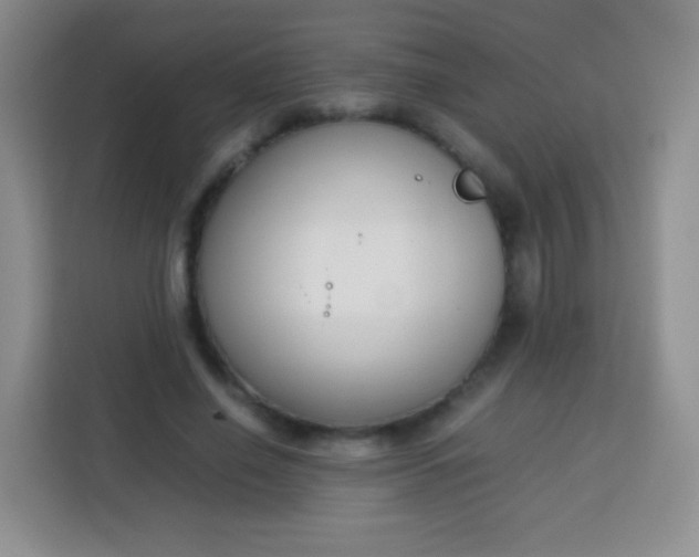 X0000113750638200910071107