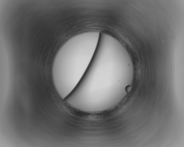 X0000113750641200910071107