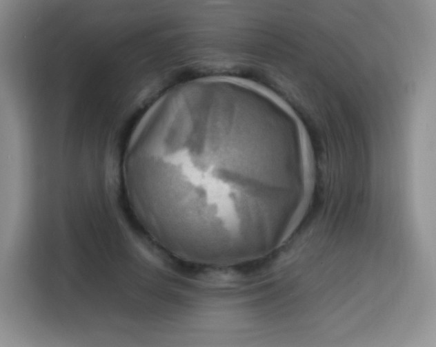 X0000113750642200910071107