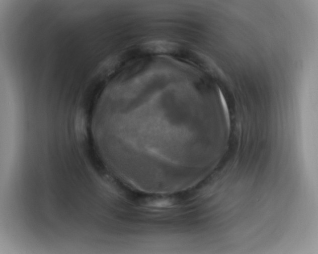 X0000113750643200910071107