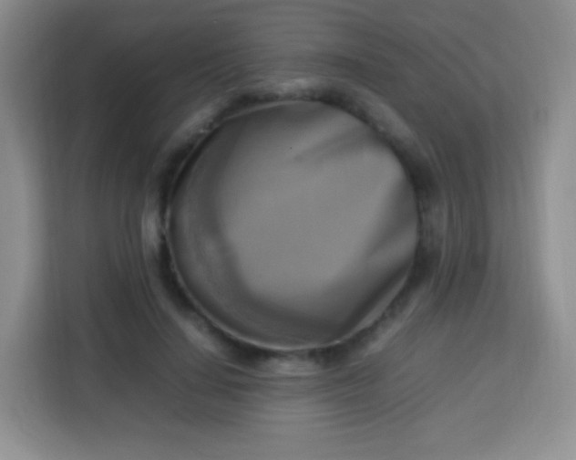 X0000113750644200910071107