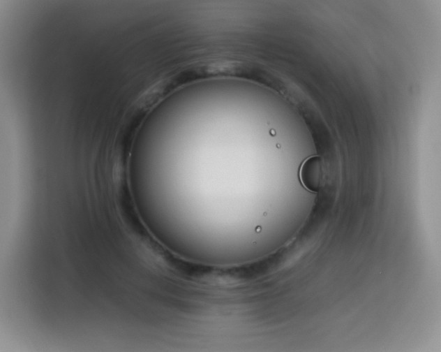 X0000113750648200910071107