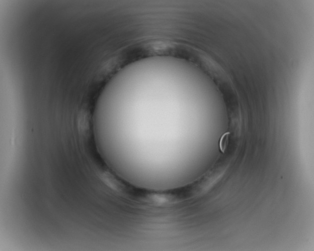 X0000113750654200910071107