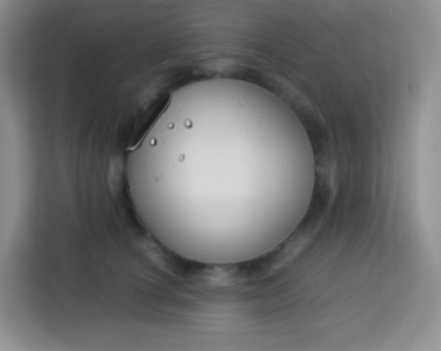 X0000113750660200910071107