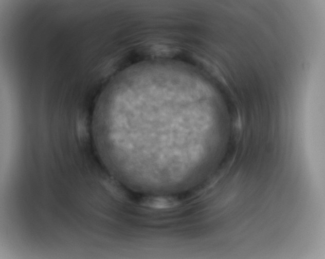 X0000113750663200910071107