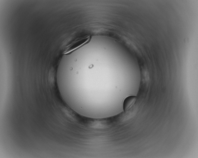 X0000113750664200910071107