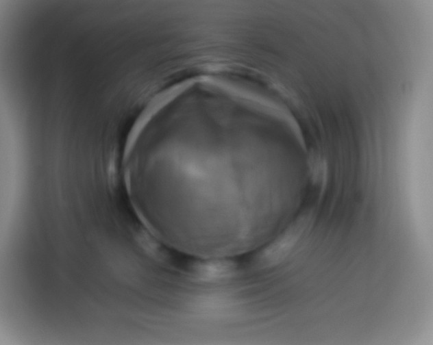 X0000113750670200910071107