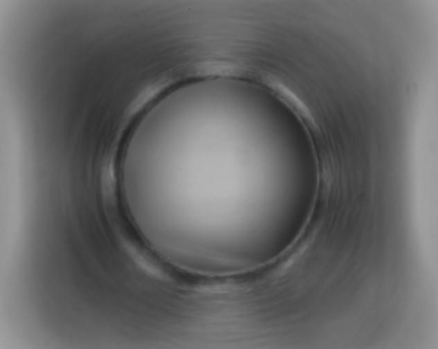 X0000113750674200910071106