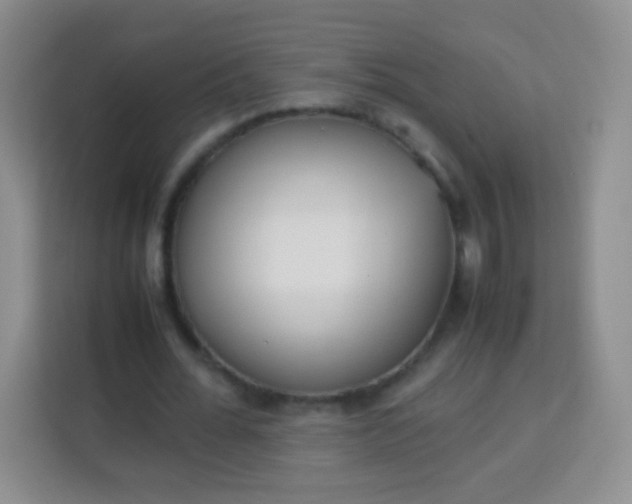 X0000113750676200910071106