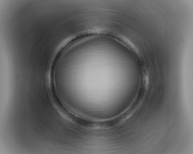 X0000113750678200910071106