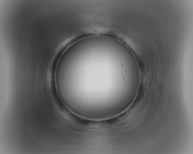 X0000113750679200910071106