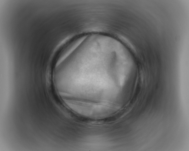 X0000113750680200910071106