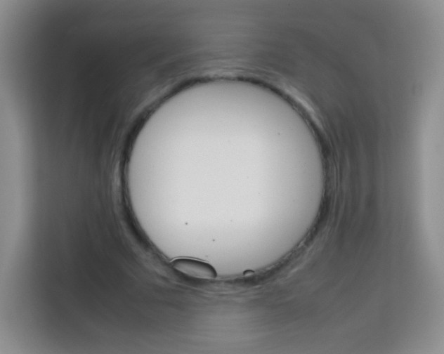 X0000113750681200910071106